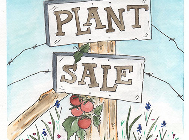 2nd Annual Online Plant Sale